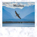 Recherche de refuge cartes postales Nature