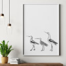 Recherche de ornithologie posters Oiseaux