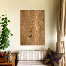 Recherche de indien posters Inde