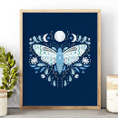 Recherche de illustration papillon posters Insecte