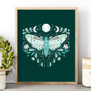 Recherche de illustration papillon posters Insecte