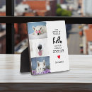 Recherche de animaux portraits Mémorial des animaux