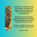 Recherche de android Androïde