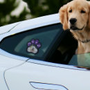 Recherche de adoption signes Amoureux des chiens