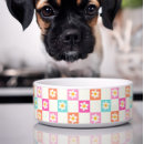 Recherche de coloré animaux articles Dogs