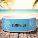Recherche de plage animaux articles Coquillage