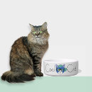 Recherche de chats écuelles Capricieux