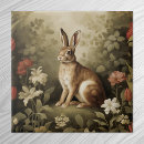 Recherche de dessin de lapin carreaux Lièvre