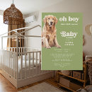 Recherche de dog show Mignon