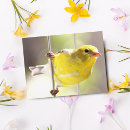 Recherche de chardonnerets cartes postales Jaune
