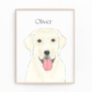 Recherche de laboratoires posters Labrador