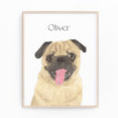 Recherche de chien brun posters Pour tous