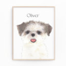 Recherche de chien brun posters Pour tous