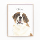 Recherche de st bernard art Saint