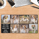 Recherche de adorable chien tapis souris Amoureux des chiens