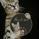 Recherche de de coeur de chat autocollants Merci