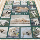 Recherche de chien multiplie Dogs