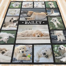 Recherche de sympathie maison deco Dogs