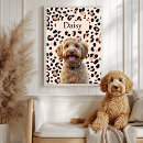 Recherche de photo léopard posters Pour tous