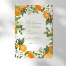 Recherche de orange mandarine posters Verdure