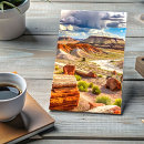 Recherche de désert peint cartes postales Forêt pétrifiée