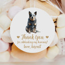 Recherche de bétail autocollants Chien australien
