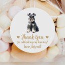 Recherche de chien de schnauzer autocollants Pour tous