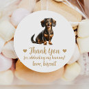 Recherche de chien teckel autocollants Dachshund