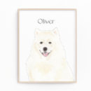Recherche de esquimau posters Chien américain eskimo