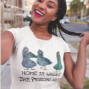 Recherche de pigeons tshirts Chemise