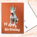 Recherche de de bull terrier vœux cartes Mignon