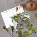 Recherche de trois grâces cartes postales Nature