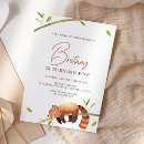 Recherche de red panda Animal