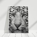 Recherche de tigger posters Black and white