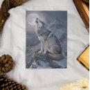 Recherche de loup de clair lune posters Nuit