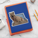 Recherche de t rex drôle autocollants Dinosaure