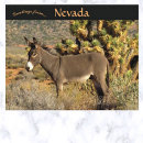 Recherche de burros Amérique