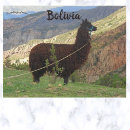 Recherche de lama cartes postales Bolivie