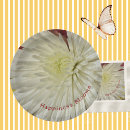 Recherche de chrysanthèmes blancs Fleurs