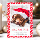 Recherche de animaux de noël cartes Pour animaux