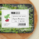 Recherche de radis Légume