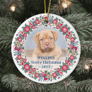 Recherche de chats colorés ornements Pour tous