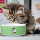 Recherche de citation drôle de chat articles Pour tous