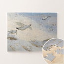 Recherche de oiseau de neige puzzles Oiseaux