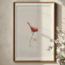 Recherche de oiseau cardinal rouge posters Peinture d'oiseau