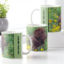 Recherche de chocolat labrador tasses Extracteur