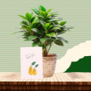 Recherche de bio vœux cartes Fruits