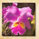 Recherche de cramoisi magnets Floral