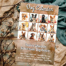 Recherche de race bureau fournitures Races de chiens