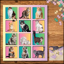 Recherche de chats puzzles Pour elle
